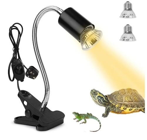 Tortoise heat lamp basking - tortoise,