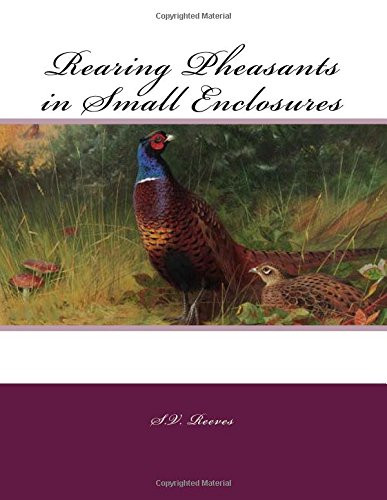 Rearing pheasants small - in,