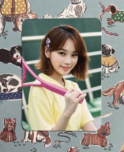 Izone dicon magazine chaewon - magazine,