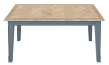 Blue & Parquet Oak Bookcase TV
