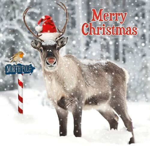 Reindeer santa hat north - @,