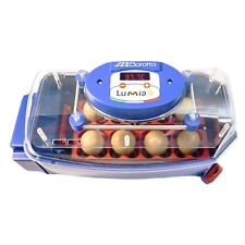 Borotto Lumia 8 Automatic