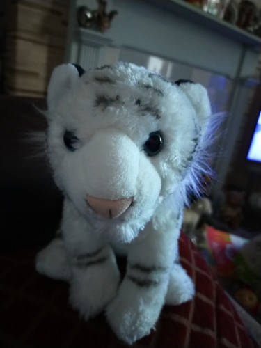 Wild republic white tiger - republic, cub