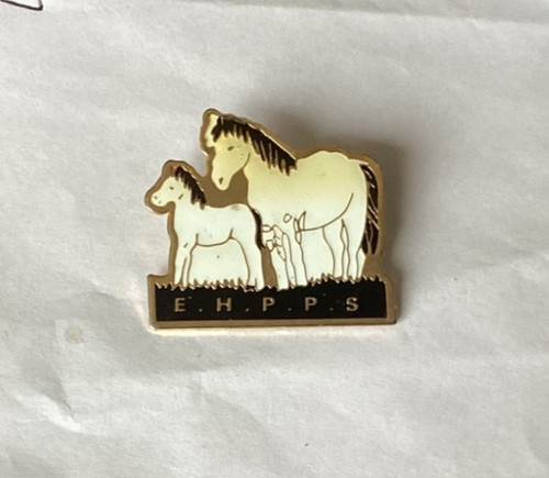 Essex horse pony - essex,