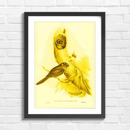 Vintage owl tree hollow art - owl,