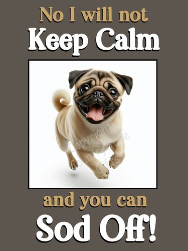 Pug pet dog funny - pug, flexible