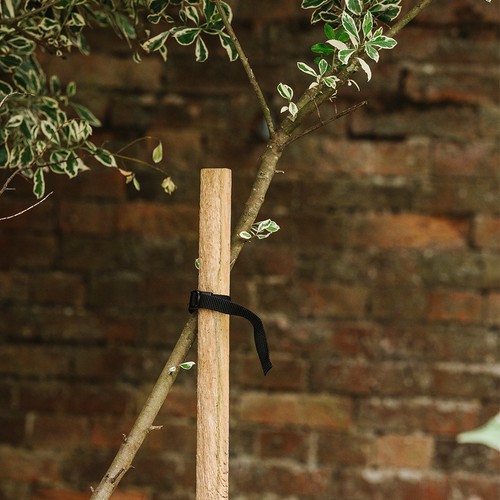 Grow 150cm wooden tree - it,