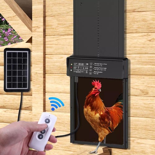 Chicken door opener - chicken, auto