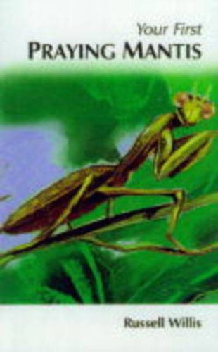 Your first praying mantis