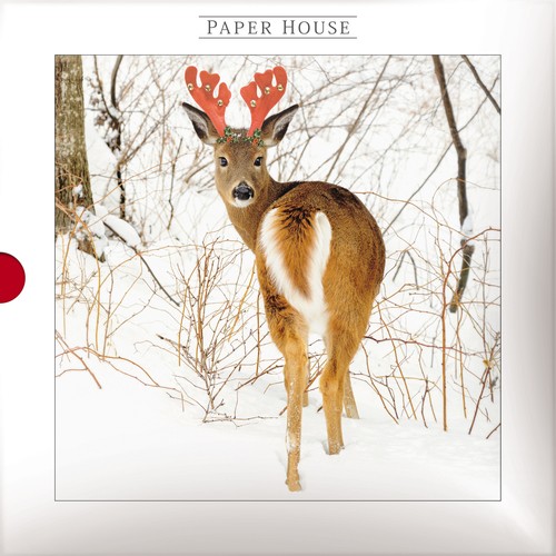 Box snowy deer - 16, fox