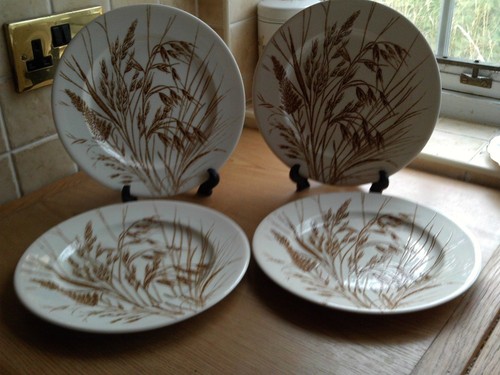 English ironstone - 4,