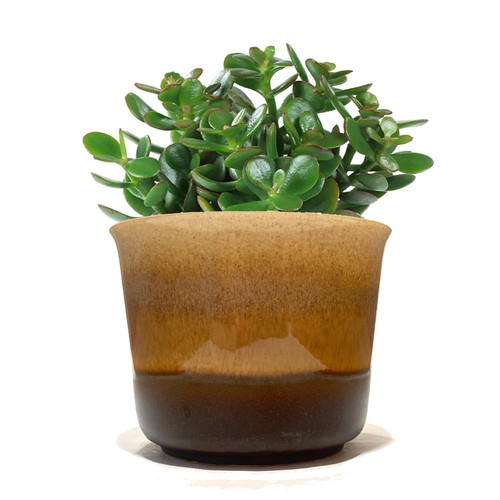 Bay keramik 653 planter - bay,