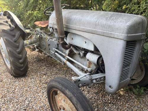 Grey ferguson tractor - ferguson,