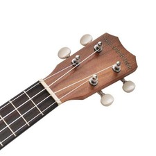 ISLANDER AC-4 Acacia Series