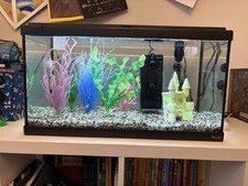Complete 60L Tropical Fish