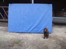 Large Climbing Crash Mat 2500mm x 1600mm x 250mm - Gymnastics, Gym, bouldering