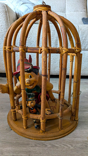 Pinnochio and jimmy - pinnochio, in