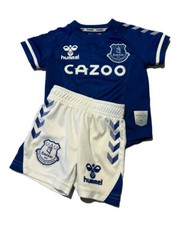 Everton football club - football,