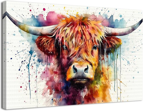 Highland cow canvas - canvas,