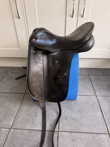 Albion black dressage - k2,
