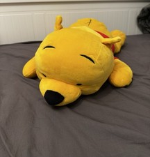 Disney Winnie the Pooh