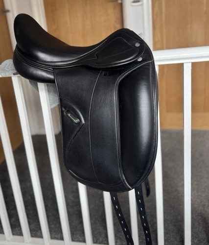 Amerigo pasubio dressage - amerigo,