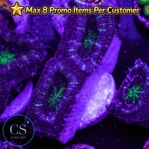 Green hulk acan wysiwyg - cs,