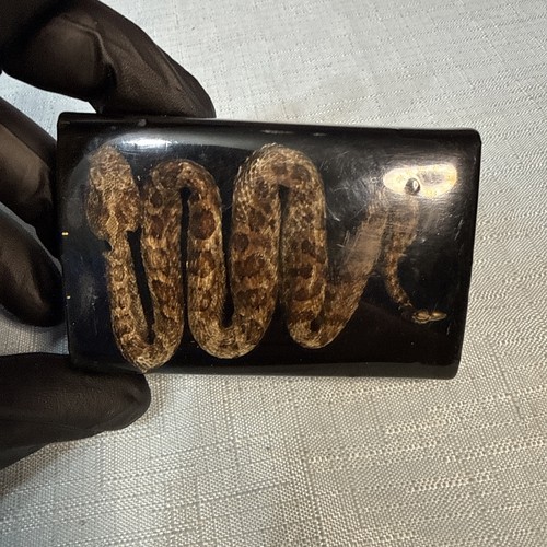 Rare vtg snake belt - rare,