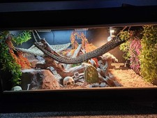 Reptiles Heating Kit And