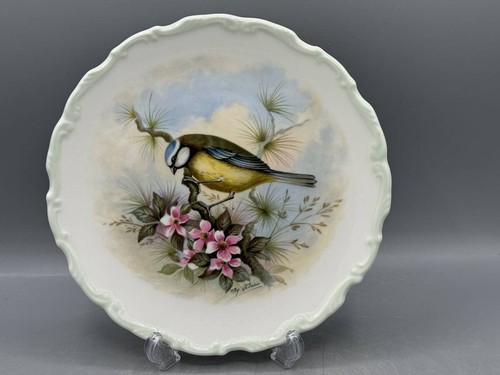 Royal albert blue tit bird - royal,