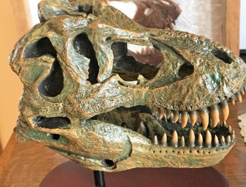 Tyrannosaurus rex skull huge - tyrannosaurus,