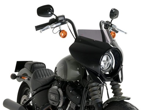 Puig fairing with smoke - with, dk