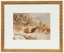 Emma Walter (1833-1893) - Late 19th Century Watercolour, The Dead Robin