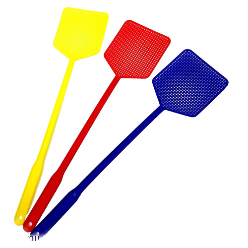 Insect fly swatter - insect,