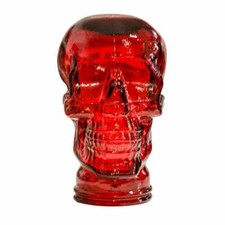 Glass Skull Display Head -