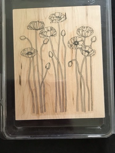 Pleasant poppies poppy - pleasant,