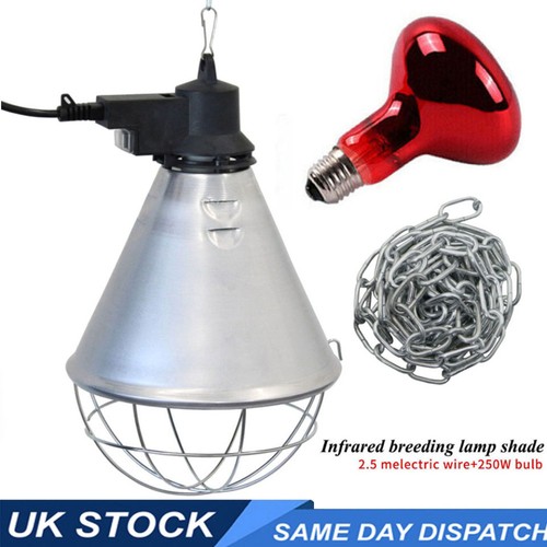 Infra red heat lamp with - heat,