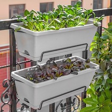 5PC Plant Flower Herb Plastic