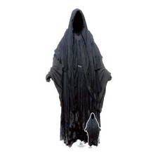 Ringwraith Lord of the Rings