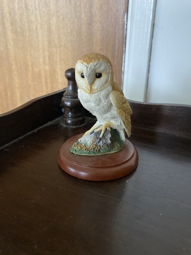 Border fine arts barn owl - border,