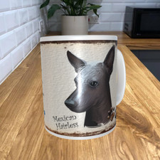 Mexican hairless dog - hairless,