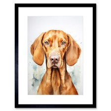 Hungarian Vizsla Dog Soft