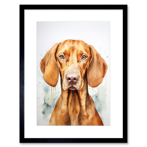 Hungarian vizsla dog soft - hungarian,