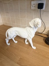 German Short Haired Pointer