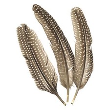 Knorr Prandell 15-20cm Guinea