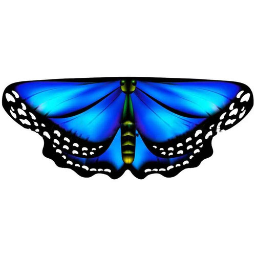 Gilding butterfly wings - butterfly, cape