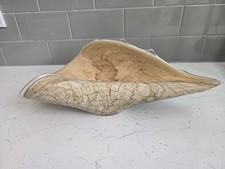 Glass conch shell centerpiece - glass,