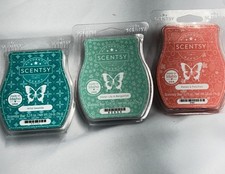 SCENTSY Wax Melt Bar Water