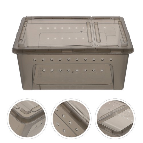 Tortoise hibernation box - hibernation,