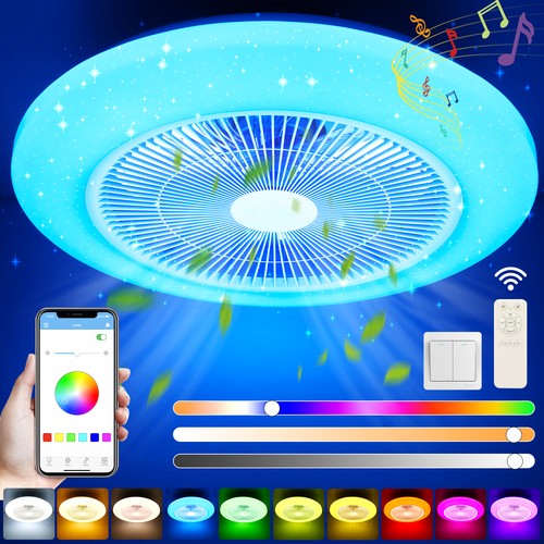 Silent ceiling fan with light - fan,
